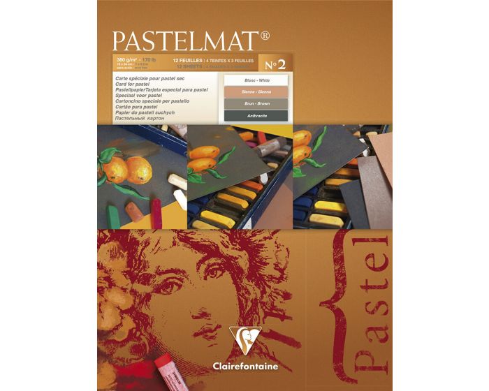 96008 - Clairefontaine Pastelmat - Glued Pads - Assorted - 12 Sheets - 360g  - 12 x 15 3/4